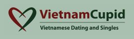 VietnamCupid im Test