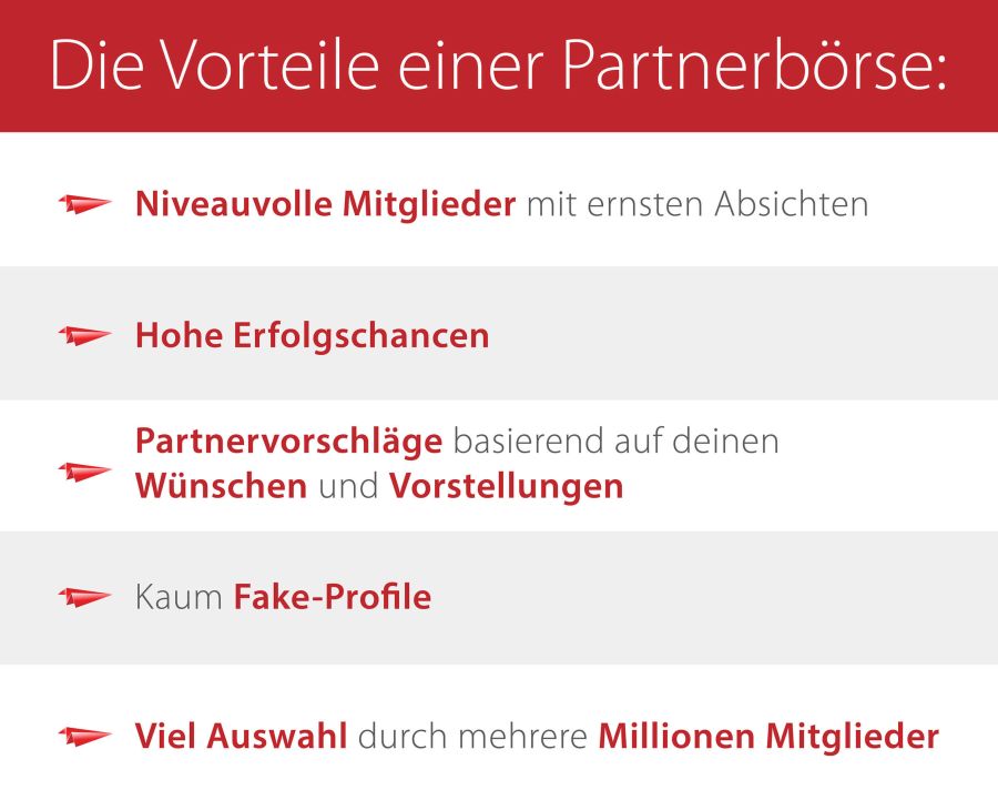 Vorteile Partnerbörse